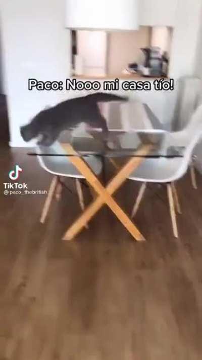 Nooo mi casa tio