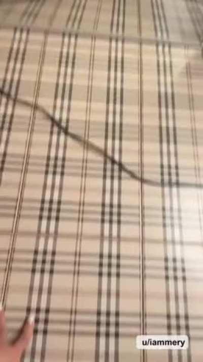 TikTok GIF by iammery