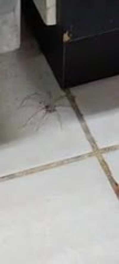 Anyone know why they do this?