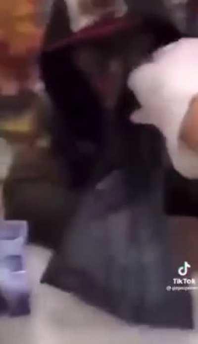 Shopping at kmart be like