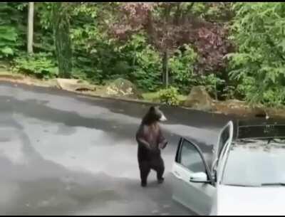 Hey guys watcha doin'? Okay okay I'm leaving stop screaming gee