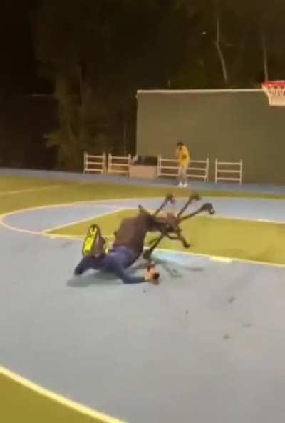 Damaging your expensive drone for a stunt