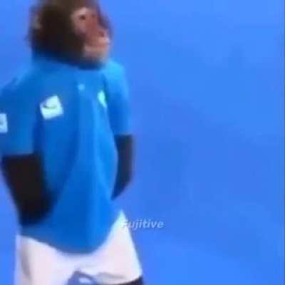 Appologize for the quality