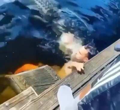 Just a relaxing swim?