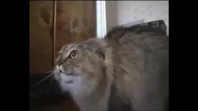 😍😍😍😍what the. H*ck!