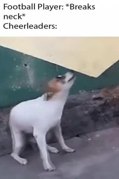 Ah shit, here we go again