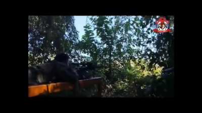 [Myanmar/Burma] Red Dragon Column snipers targeting junta soldiers at Ahnankwin camp, Kawkareik District, Karen State, resulting in 8 dead  (between June 1-6).