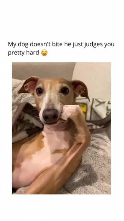 Noo way he did that😂