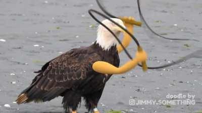 AMERICA!! FUCK YEAH!!