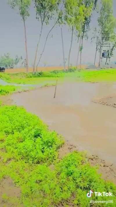 So satisfying ( not really)