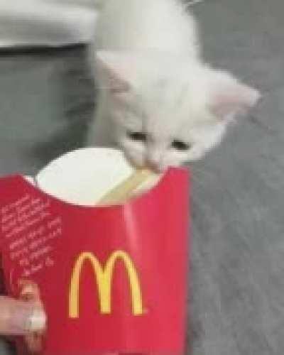 smacc continued because it ended too soon