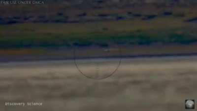 There's No Curvature ... Let's Just Fake It! 😂