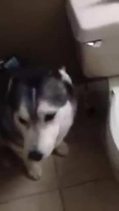 Monk's Bath Time Tantrum