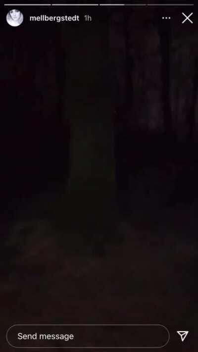 Demonic looking thing peaking out behind the tree!?
