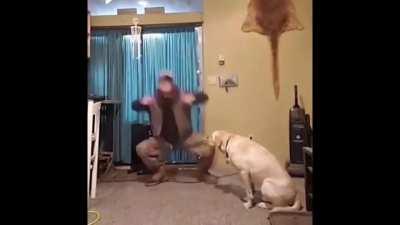 Full Crazy La Paint Dance [720p]