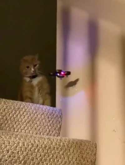 Stay outta bubble brah!!