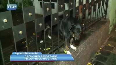 Tobia depois de ir no flow