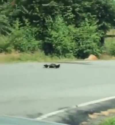 Is this a funeral !?