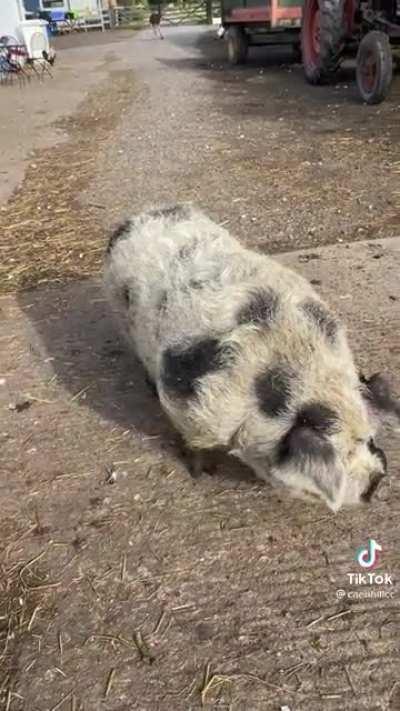 Most British video I’ve watched in a long time ☕️