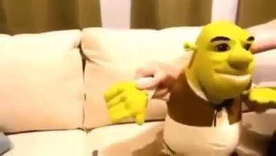 Shrek needs a toilet, so give him a damn toilet