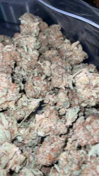 Reload on some dog 🐶