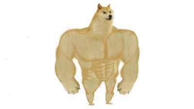 GAA pursuits in a nutshell