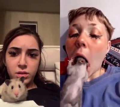 I don't know what to say.