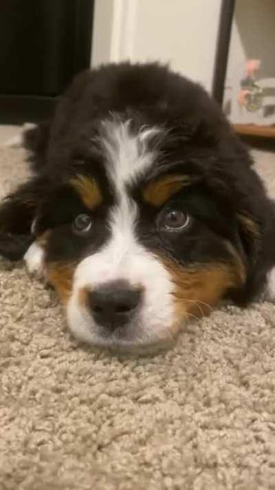 Telling all his stories