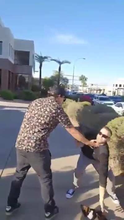 Palestinian protester assaulted by crackhead zionist, police arrest Palestinian 