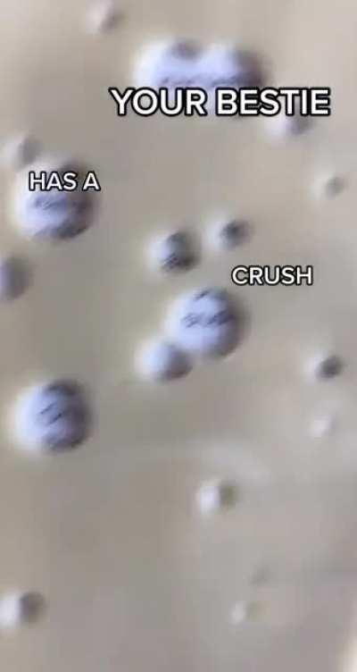 Сыр правды: твой лучший друг влюблён в твою маму