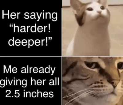 I’m trying my best…