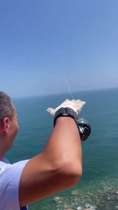 The fish will need a visa