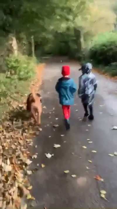 Winston and the twins