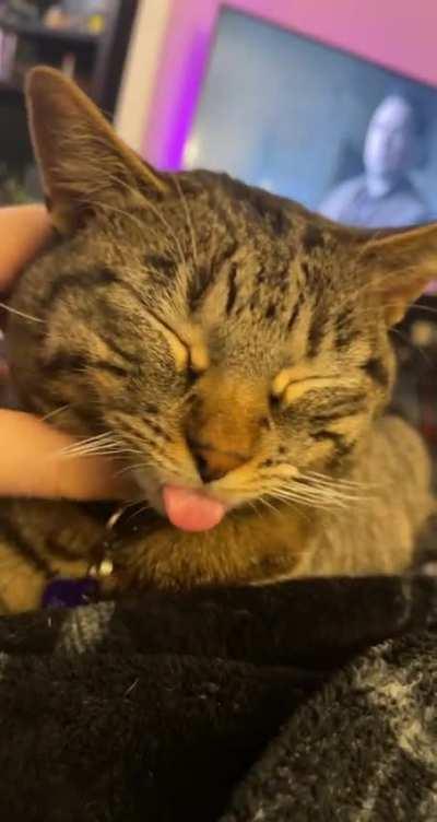 BLEP