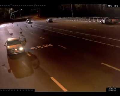 🔥 This police stop being interrupted by a pack wolves 🔥