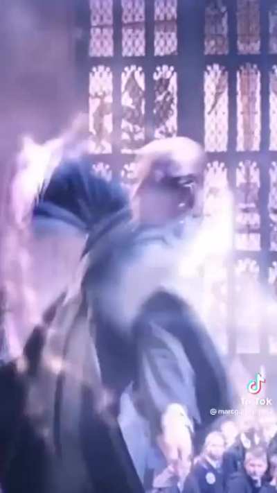 Australian harry potter