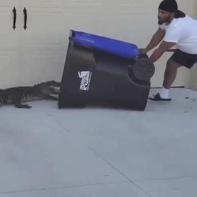 Man Channels His Inner Steve Irwin to Catch a Gator