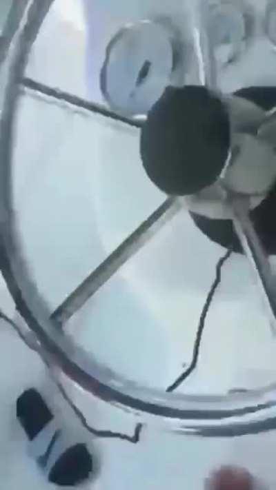 Wonder what was going through her head