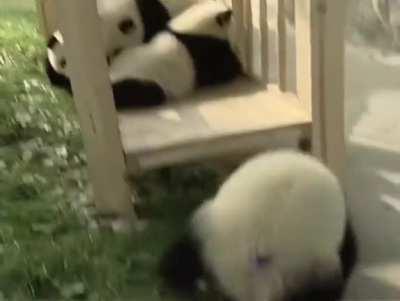 They couldn't just wait for him to climb to the top...