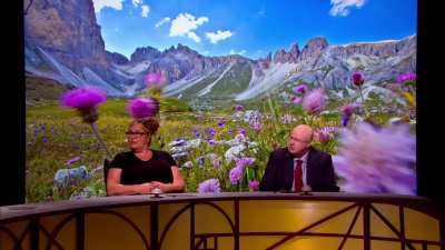 Romesh's impression of Yogi Bear