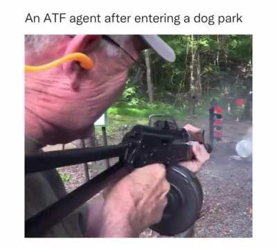 Your dog needs Level IV plates too