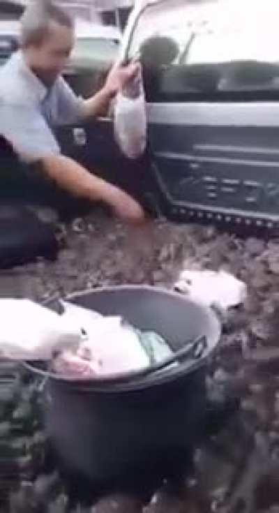 Жабовирус... Кродётся