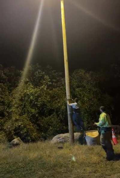 to climb down the electrical pole