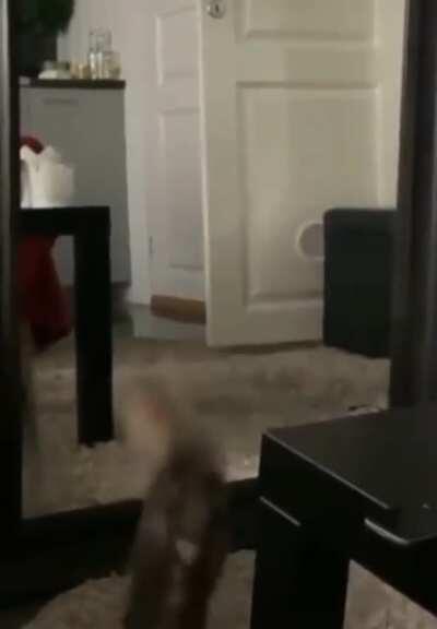 I knew it was me all along