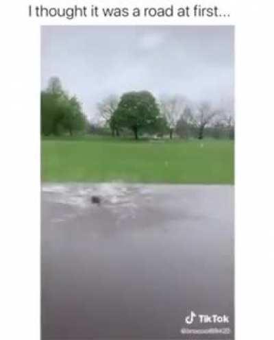 Whelp that was unexpected...