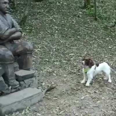 Stone hearted man wouldn't play with the dog