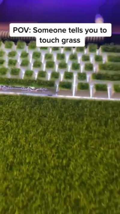 this is what tarkov chads mean when they say they indeed touch grass