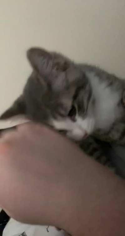 I wake up to Charlie yelling every. Single. Day. Exactly at like 7:30 am when I don&rsquo;t need to be up that early lol