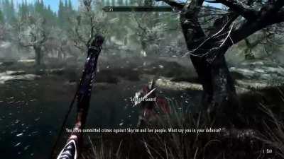 These Solitude guards got me good