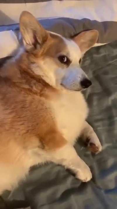 His walk time was changed 10am to 6am